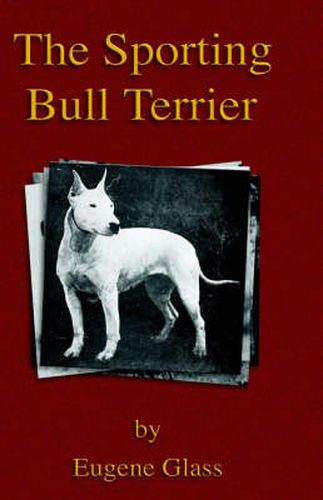 Cover image for The Sporting Bull Terrier (Vintage Dog Books Breed Classic - American Pit Bull Terrier)