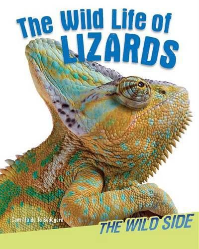 The Wild Life of Lizards