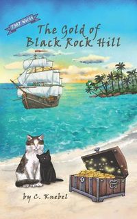 Cover image for The Gold of Black Rock Hill: Decodable Chapter Books for Kids with Dyslexia