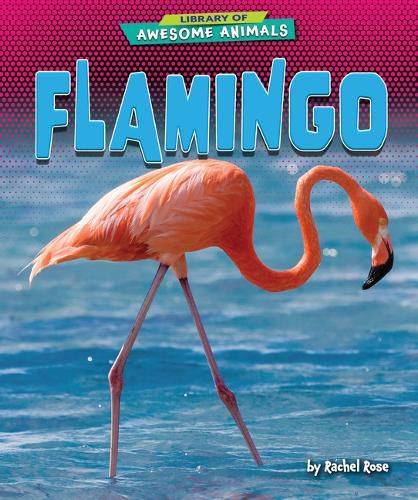 Cover image for Flamingo