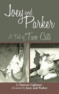 Cover image for Joey and Parker