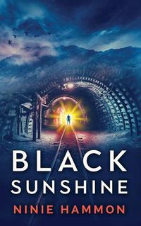 Cover image for Black Sunshine