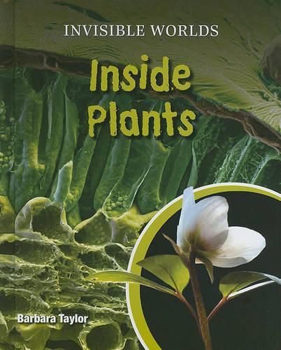 Inside Plants