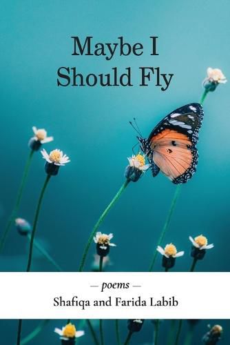Cover image for Maybe I Should Fly