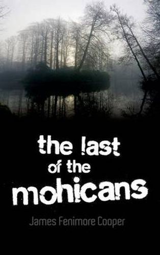 Cover image for The Last of the Mohicans