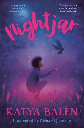Cover image for Nightjar (Dyslexia-friendly edition)