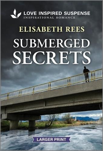 Cover image for Submerged Secrets