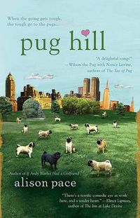 Cover image for Pug Hill