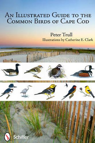 Cover image for An Illustrated Guide to the Common Birds of Cape Cod