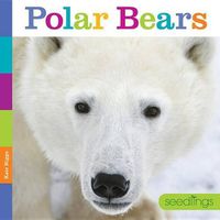 Cover image for Seedlings: Polar Bears