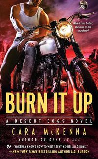 Cover image for Burn It Up