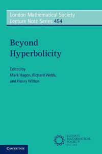 Cover image for Beyond Hyperbolicity