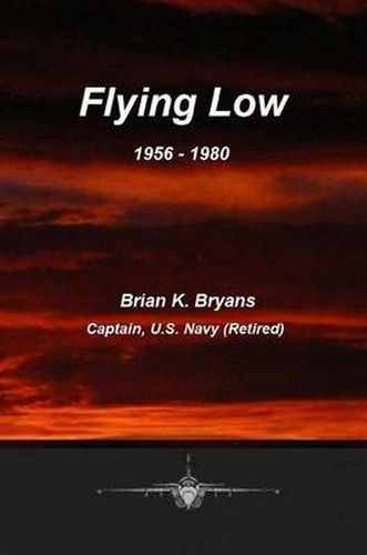Cover image for Flying Low