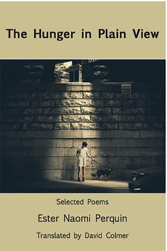 Cover image for The Hunger in Plain View:Selected Poems
