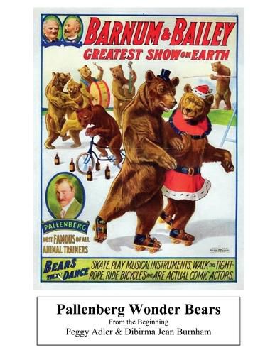 Cover image for Pallenberg Wonder Bears - From the Beginning