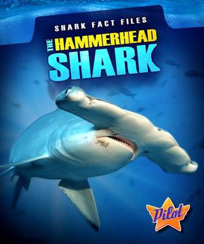 Cover image for Hammerhead Shark