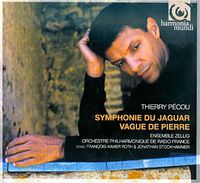 Cover image for Pecou Jaguar Symphony Vague De Pierre