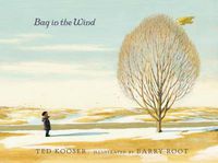Cover image for Bag in the Wind