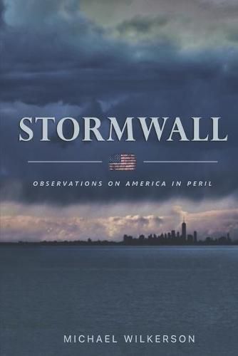 Cover image for Stormwall: Observations on America in Peril