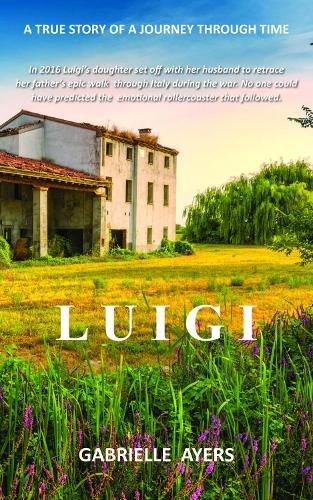 Cover image for Luigi