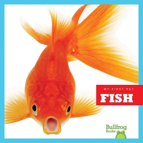 Cover image for Fish