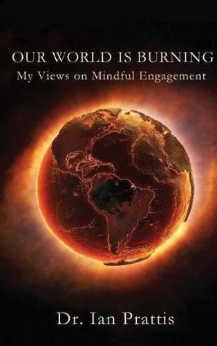 Our World is Burning: My Views on Mindful Engagement