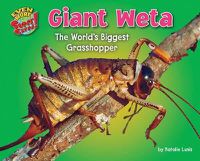 Cover image for Giant Weta: The World's Biggest Grasshopper