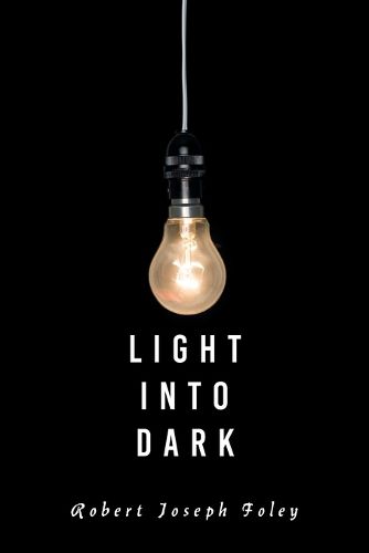 Cover image for Light Into Dark