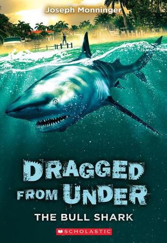 The Bull Shark (Dragged from Under #1): Volume 1