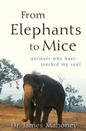 Cover image for From Elephants to Mice: Animals Who Have Touched My Soul