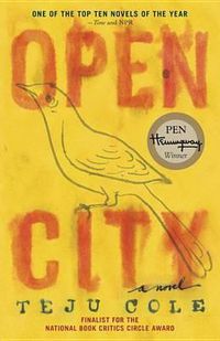 Cover image for Open City: A Novel