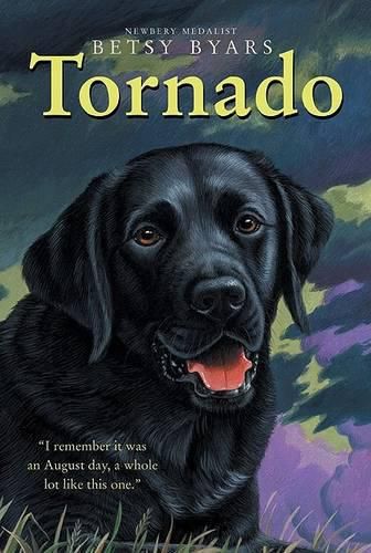 Cover image for Tornado