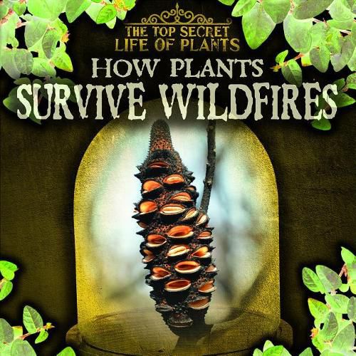 How Plants Survive Wildfires