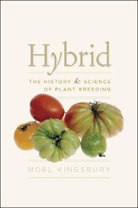 Cover image for Hybrid