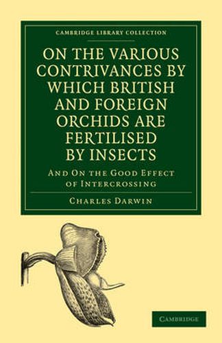 Cover image for On the Various Contrivances by Which British and Foreign Orchids are Fertilised by Insects: And on the Good Effect of Intercrossing