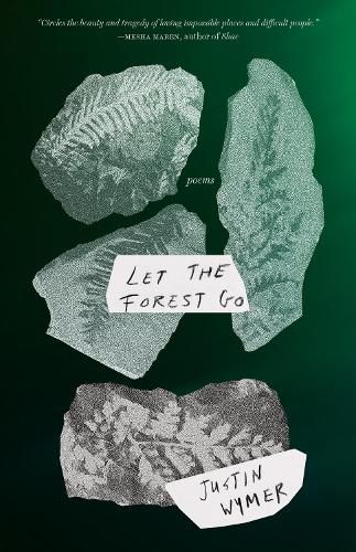 Cover image for Let the Forest Go