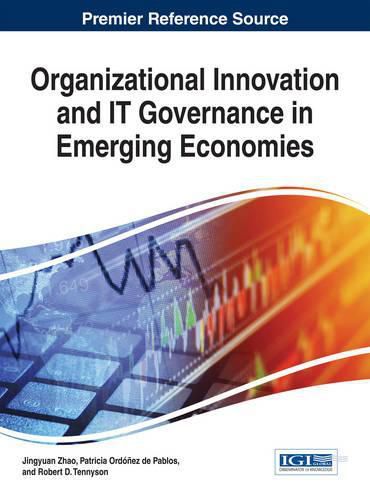 Cover image for Organizational Innovation and IT Governance in Emerging Economies