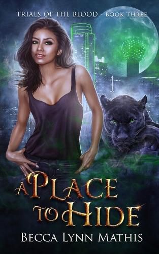 Cover image for A Place To Hide