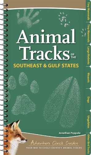 Cover image for Animal Tracks of the Southeast & Gulf States: Your Way to Easily Identify Animal Tracks