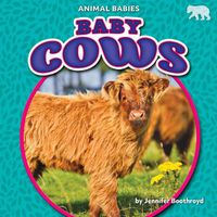 Cover image for Baby Cows