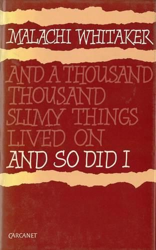 Cover image for And So Did I