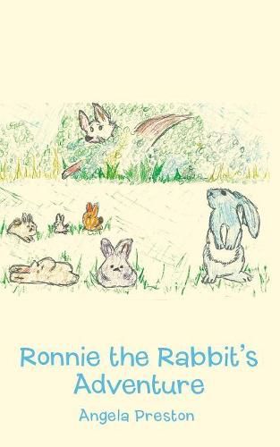 Cover image for Ronnie the Rabbit's Adventure