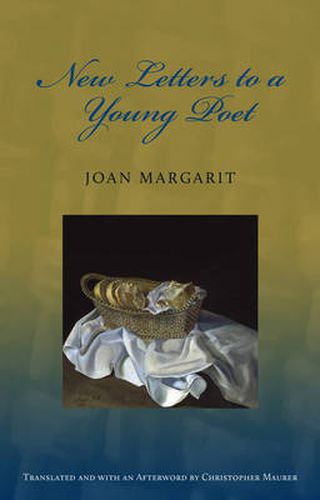 Cover image for New Letters to a Young Poet