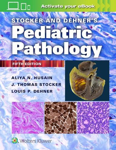 Cover image for Stocker and Dehner's Pediatric Pathology