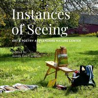 Cover image for Instances of Seeing