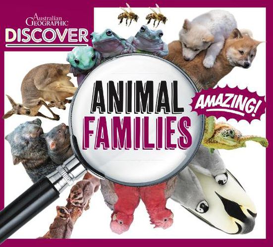 Australian Geographic Discover: Animal Families