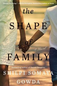 Cover image for The Shape of Family: A Novel