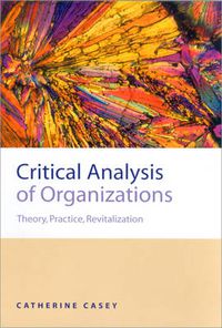 Cover image for Critical Analysis of Organizations: Theory, Practice, Revitalization