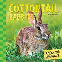 Cover image for Cottontail Rabbits