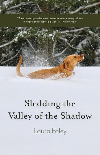 Cover image for Sledding the Valley of the Shadow